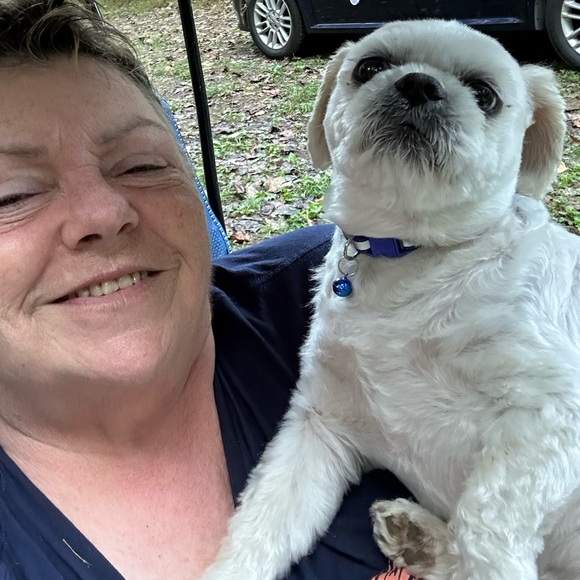 Meet your Posher, Sherry - Picture 2 of 2